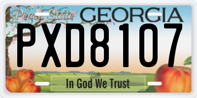 GA license plate PXD8107