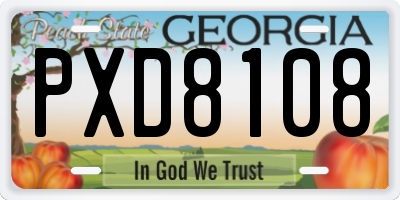 GA license plate PXD8108