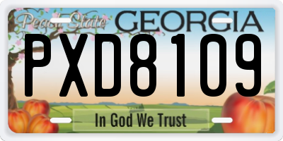 GA license plate PXD8109