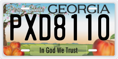 GA license plate PXD8110