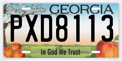 GA license plate PXD8113