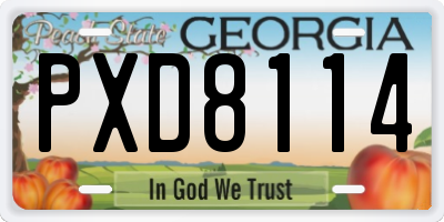 GA license plate PXD8114