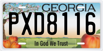 GA license plate PXD8116