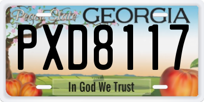 GA license plate PXD8117