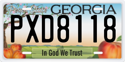 GA license plate PXD8118