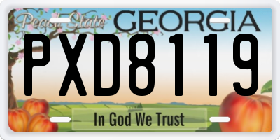 GA license plate PXD8119