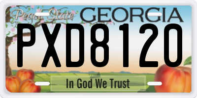GA license plate PXD8120