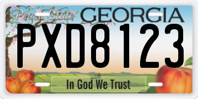GA license plate PXD8123