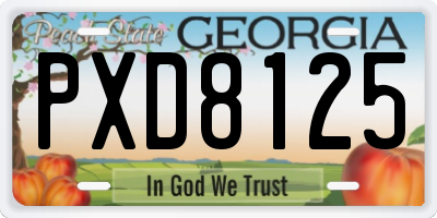 GA license plate PXD8125