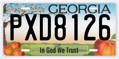 GA license plate PXD8126