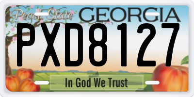 GA license plate PXD8127
