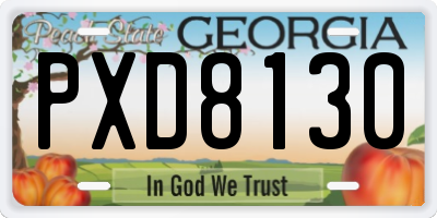 GA license plate PXD8130