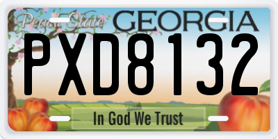 GA license plate PXD8132