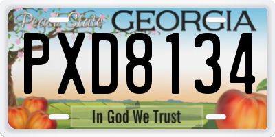 GA license plate PXD8134