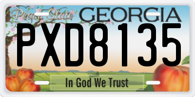 GA license plate PXD8135
