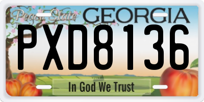 GA license plate PXD8136