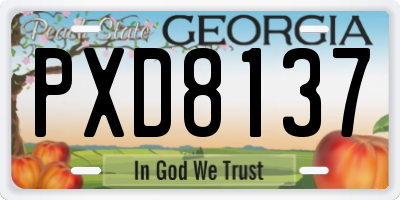 GA license plate PXD8137
