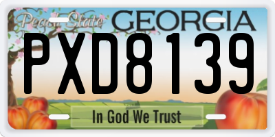 GA license plate PXD8139