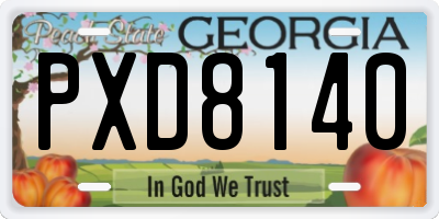 GA license plate PXD8140