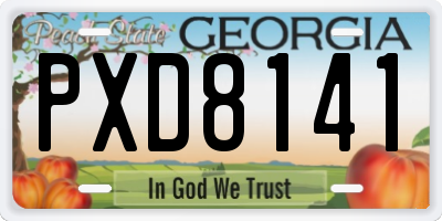 GA license plate PXD8141