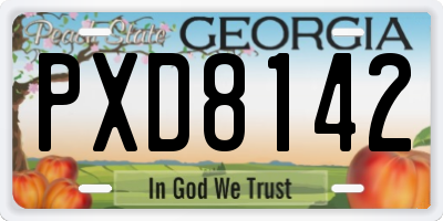 GA license plate PXD8142