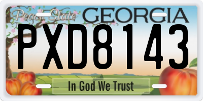 GA license plate PXD8143
