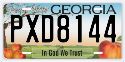 GA license plate PXD8144