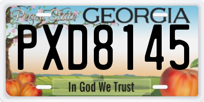 GA license plate PXD8145
