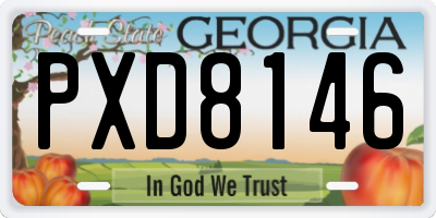 GA license plate PXD8146