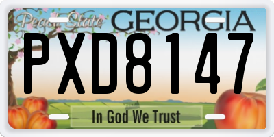 GA license plate PXD8147
