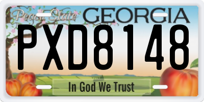 GA license plate PXD8148
