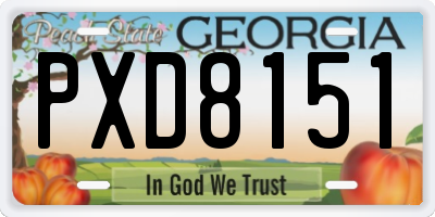 GA license plate PXD8151