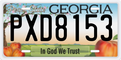 GA license plate PXD8153