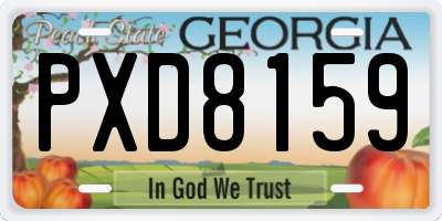 GA license plate PXD8159
