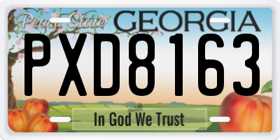 GA license plate PXD8163