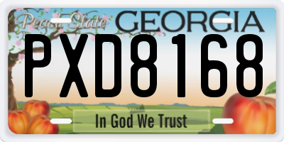 GA license plate PXD8168
