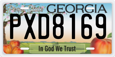 GA license plate PXD8169