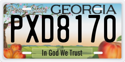 GA license plate PXD8170