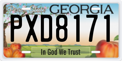 GA license plate PXD8171