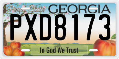 GA license plate PXD8173