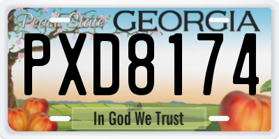 GA license plate PXD8174