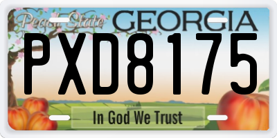GA license plate PXD8175