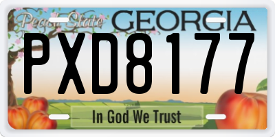 GA license plate PXD8177