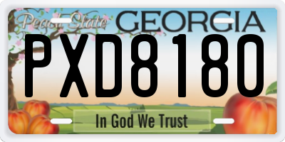 GA license plate PXD8180