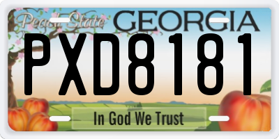 GA license plate PXD8181