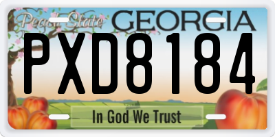 GA license plate PXD8184