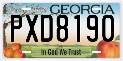 GA license plate PXD8190