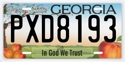GA license plate PXD8193