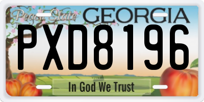 GA license plate PXD8196