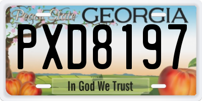 GA license plate PXD8197